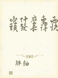 吃什么东西可以头发长得快一些