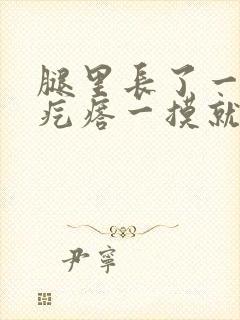 腿里长了一个硬疙瘩一摸就疼