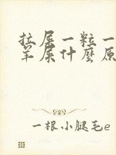 拉屎一粒一粒像羊屎什么原因