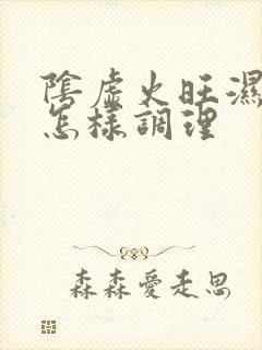 阴虚火旺湿气重怎样调理