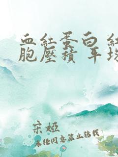 血红蛋白 红细胞压积 平均血红蛋白量偏低