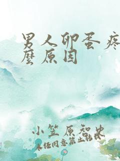 男人卵蛋疼是什么原因