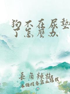 狗不在尿垫上尿了怎么办