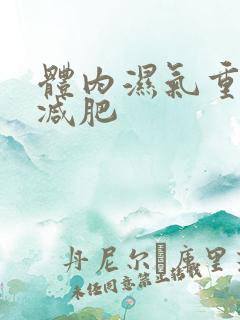 体内湿气重怎么减肥