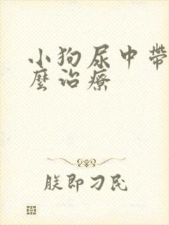 小狗尿中带血怎么治疗