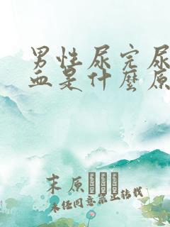 男性尿完尿后有血是什么原因