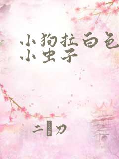 小狗拉白色短的小虫子