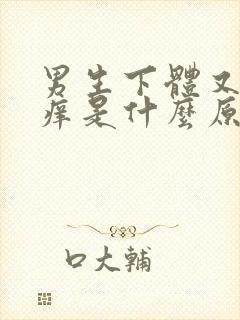 男生下体又疼又痒是什么原因引起的