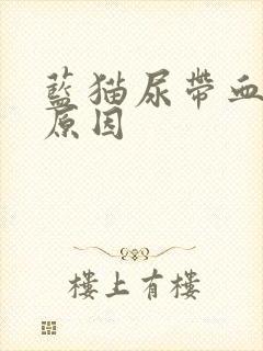 蓝猫尿带血什么原因