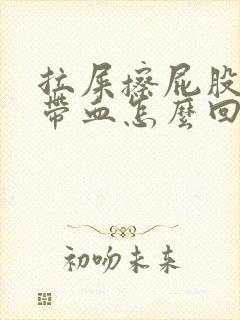 拉屎擦屁股纸上带血怎么回事