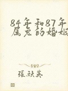 84年和87年属兔的婚姻怎么样