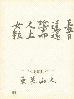 女人阴道长得肉粒上面还有小肉粒