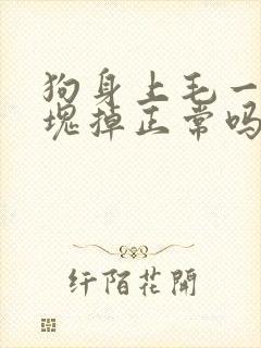 狗身上毛一块一块掉正常吗