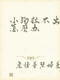 小狗拉不出屎来怎么办