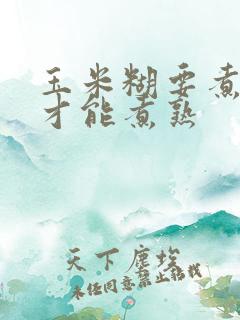 玉米糊要煮多久才能煮熟