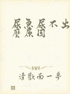 尿急尿不出来什么原因