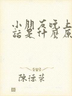 小朋友晚上说梦话是什么原因