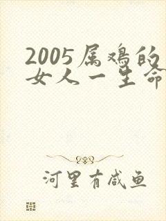 2005属鸡的女人一生命运如何
