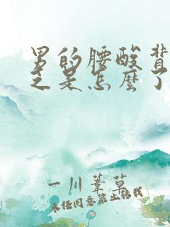 男的腰酸背疼困乏是怎么了