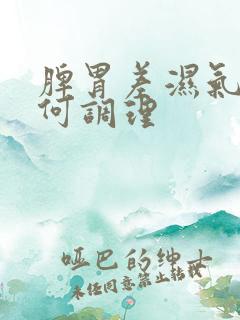 脾胃差湿气重如何调理