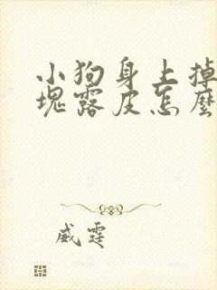 小狗身上掉毛一块露皮怎么办