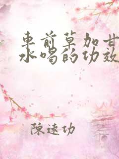 车前草加甘草煮水喝的功效