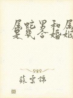 属蛇男和属蛇女是几合婚姻