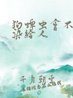 狗蜱虫会不会传染给人