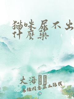 猫咪尿不出来吃什么药