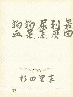 狗狗尿到最后尿血是怎么回事