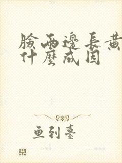 脸两边长黄褐斑什么成因