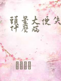 头晕大便失禁是什么病