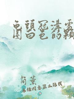 龟头冠沟处有一圈白色的颗粒