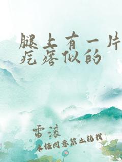 腿上有一片鸡皮疙瘩似的