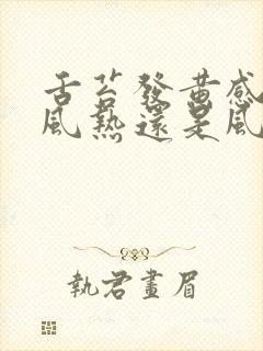 舌苔发黄感冒是风热还是风寒