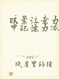 眩晕注意力不集中记忆力减退