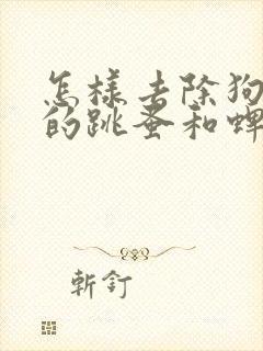 怎样去除狗身上的跳蚤和蜱虫