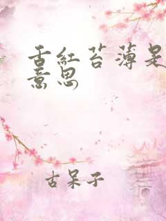 舌红苔薄是什么意思