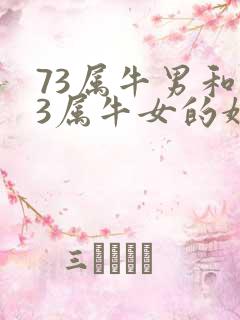 73属牛男和73属牛女的婚姻怎么样