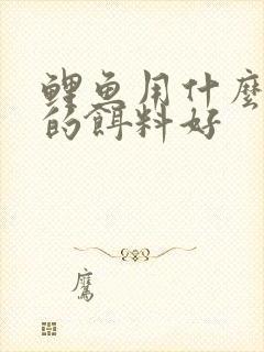 鲤鱼用什么味型的饵料好