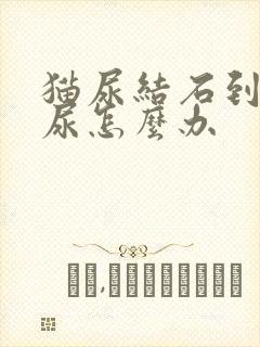 猫尿结石到处乱尿怎么办