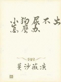 小狗尿不出尿来怎么办