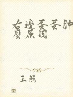 右边蛋蛋肿了什么原因