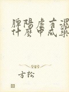 脾阳虚有湿气吃什么中成药