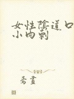 女性阴道口内有小肉刺