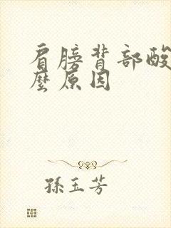 肩膀背部酸痛什么原因