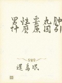 男性睾丸肿大是什么原因引起的