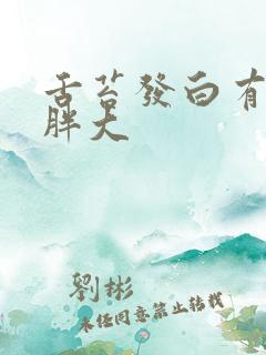 舌苔发白有齿痕胖大