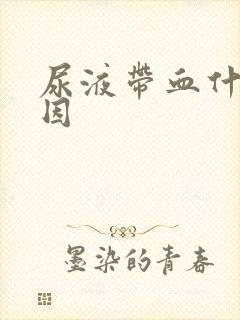 尿液带血什么原因