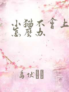 小猫不会上猫砂怎么办